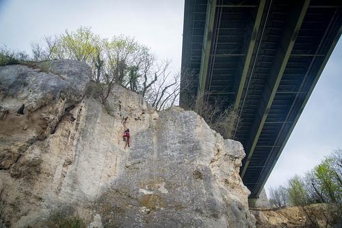 In-dubido-pro-libido-Fels