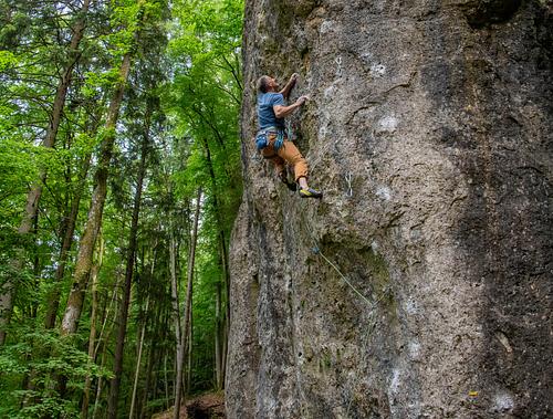 Lauf am Forellenbach